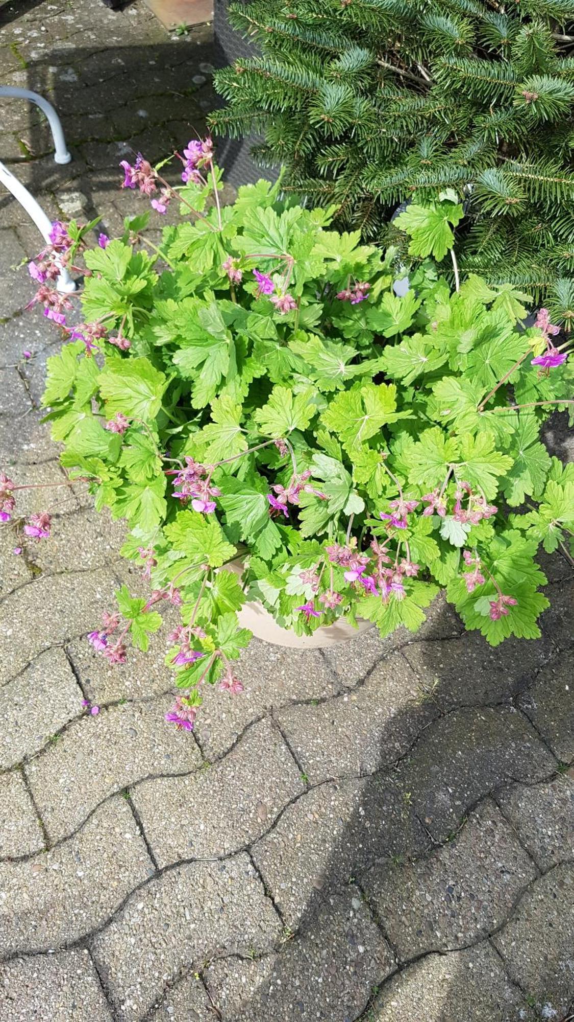 Memorie1 Ferien In Der Provinz
